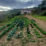 Montepugliano