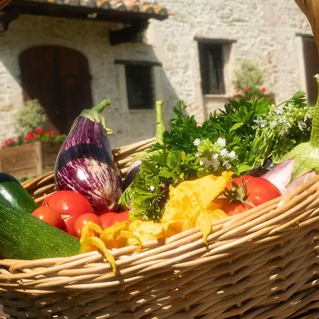 Фермерский дом Montepugliano