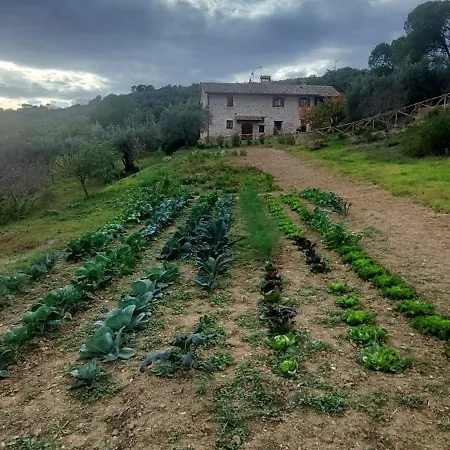 Montepugliano